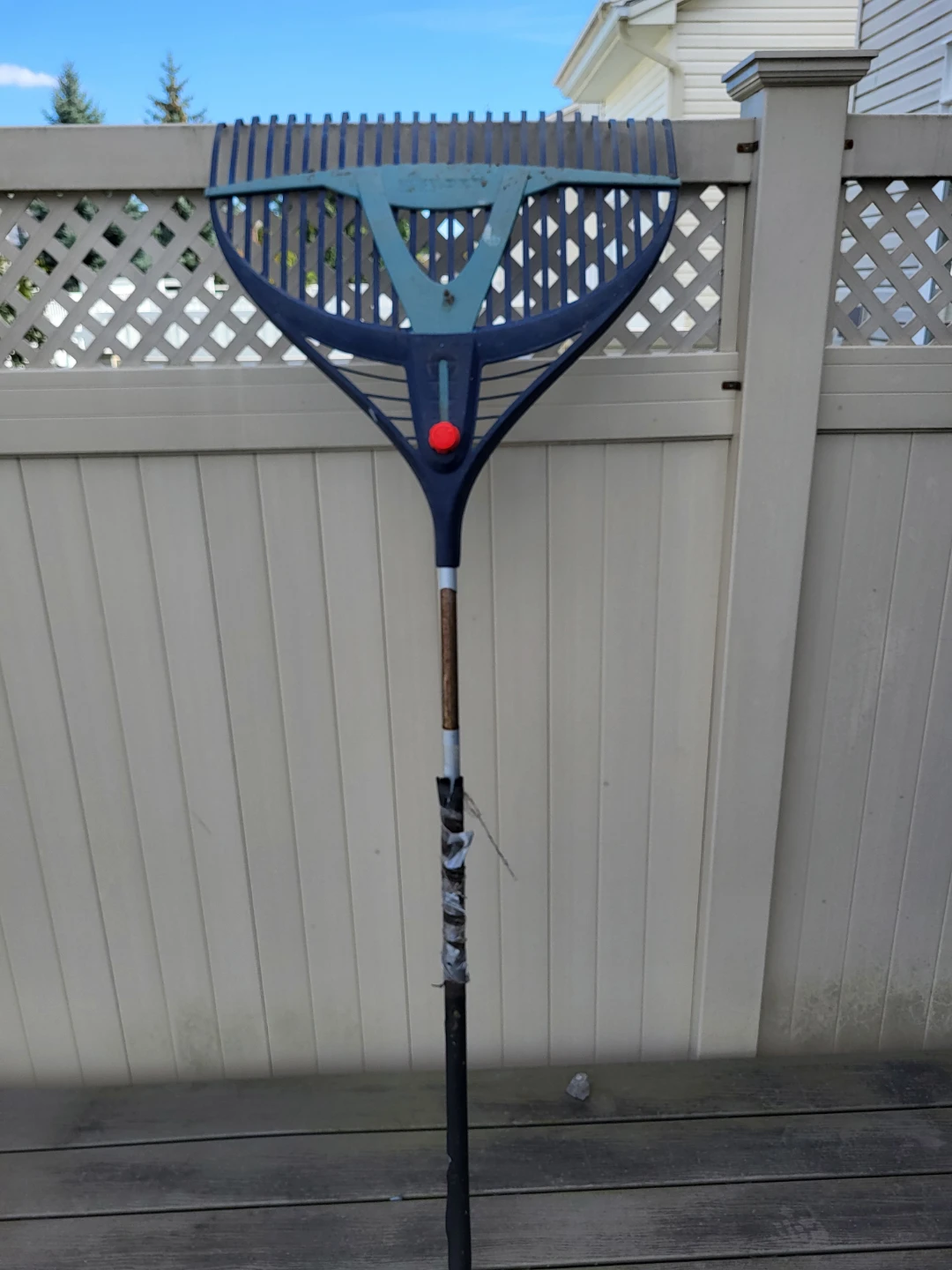 AMES Wet/ Dry Leaf Rake
