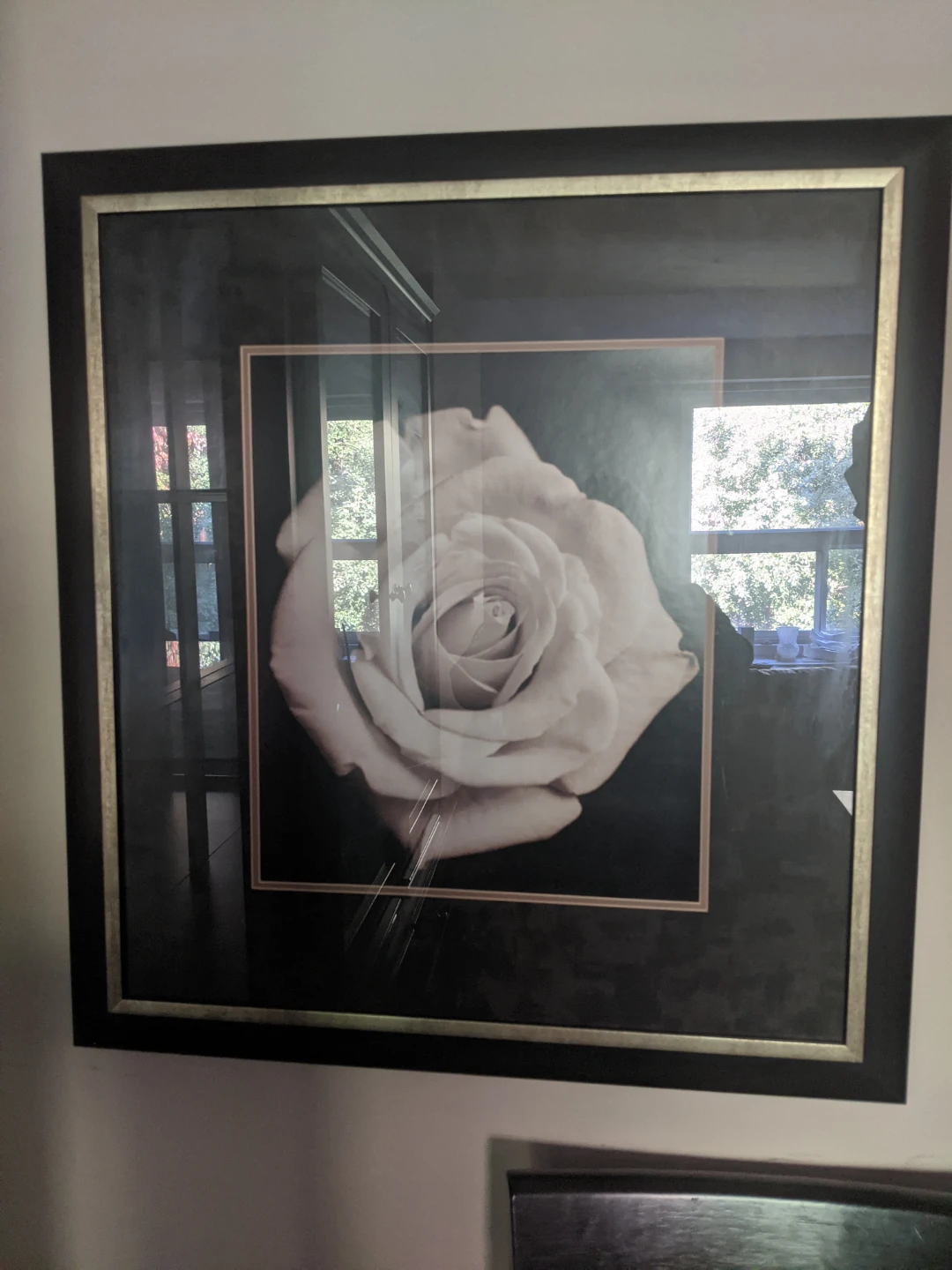 Set of Two Framed Rose Prints - photo 4