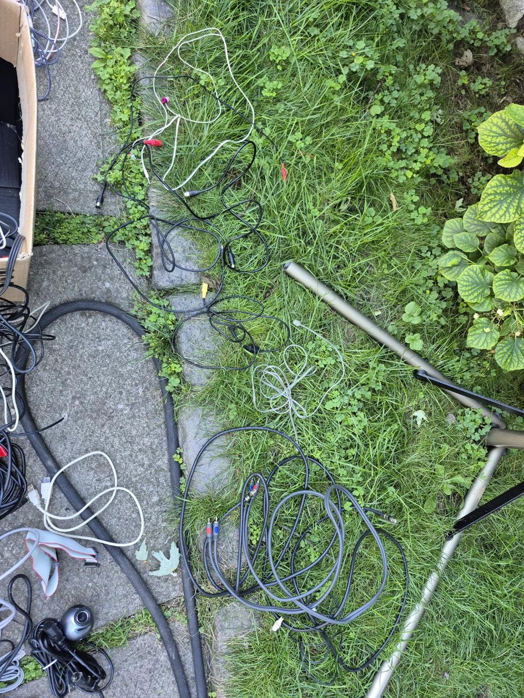 Large Collection of Assorted Electronic Cables - photo 5