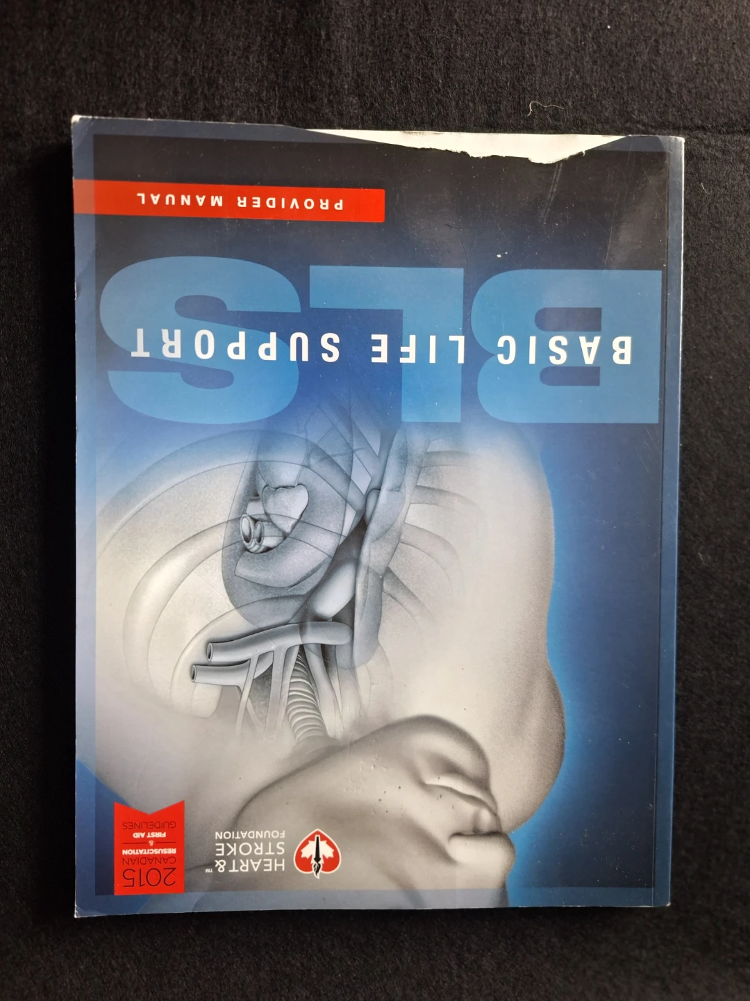 Medical Textbooks and Anatomical Chart Bundle - photo 2