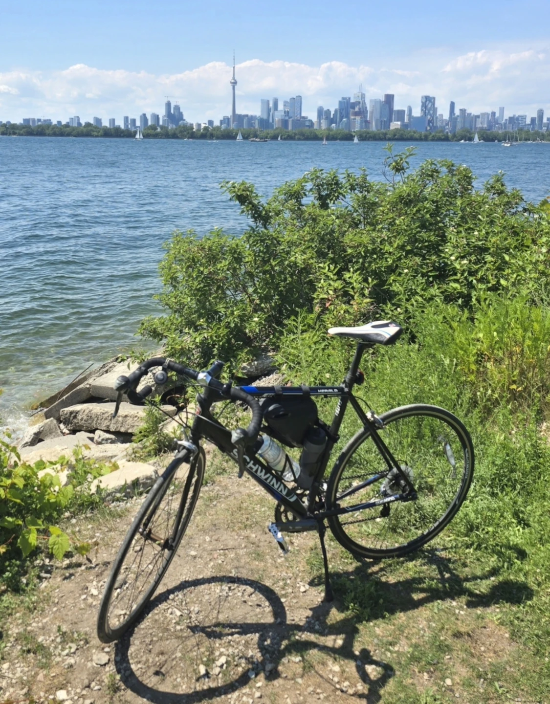 Schwinn Herald 3.0 700C Road Bike - photo 3