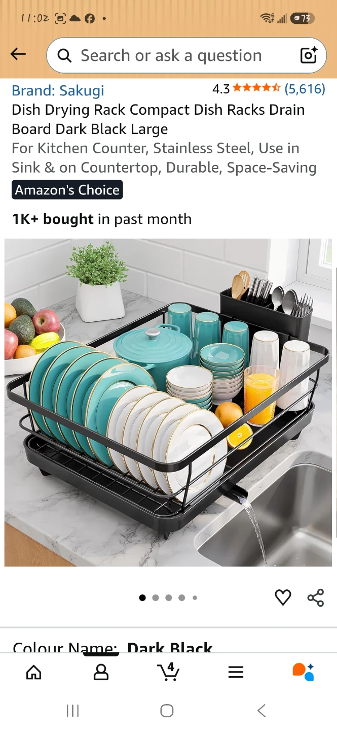 Black Dish Drying Rack