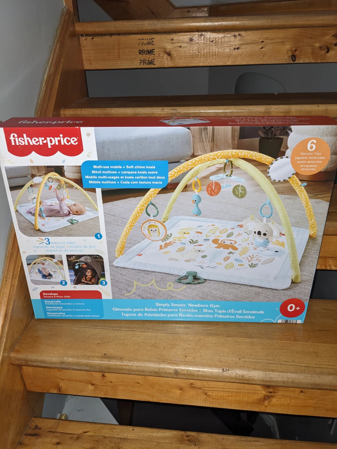 Baby Play Gym