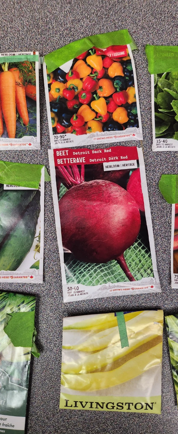 Assorted Vegetable and Flower Seeds Collection - photo 4