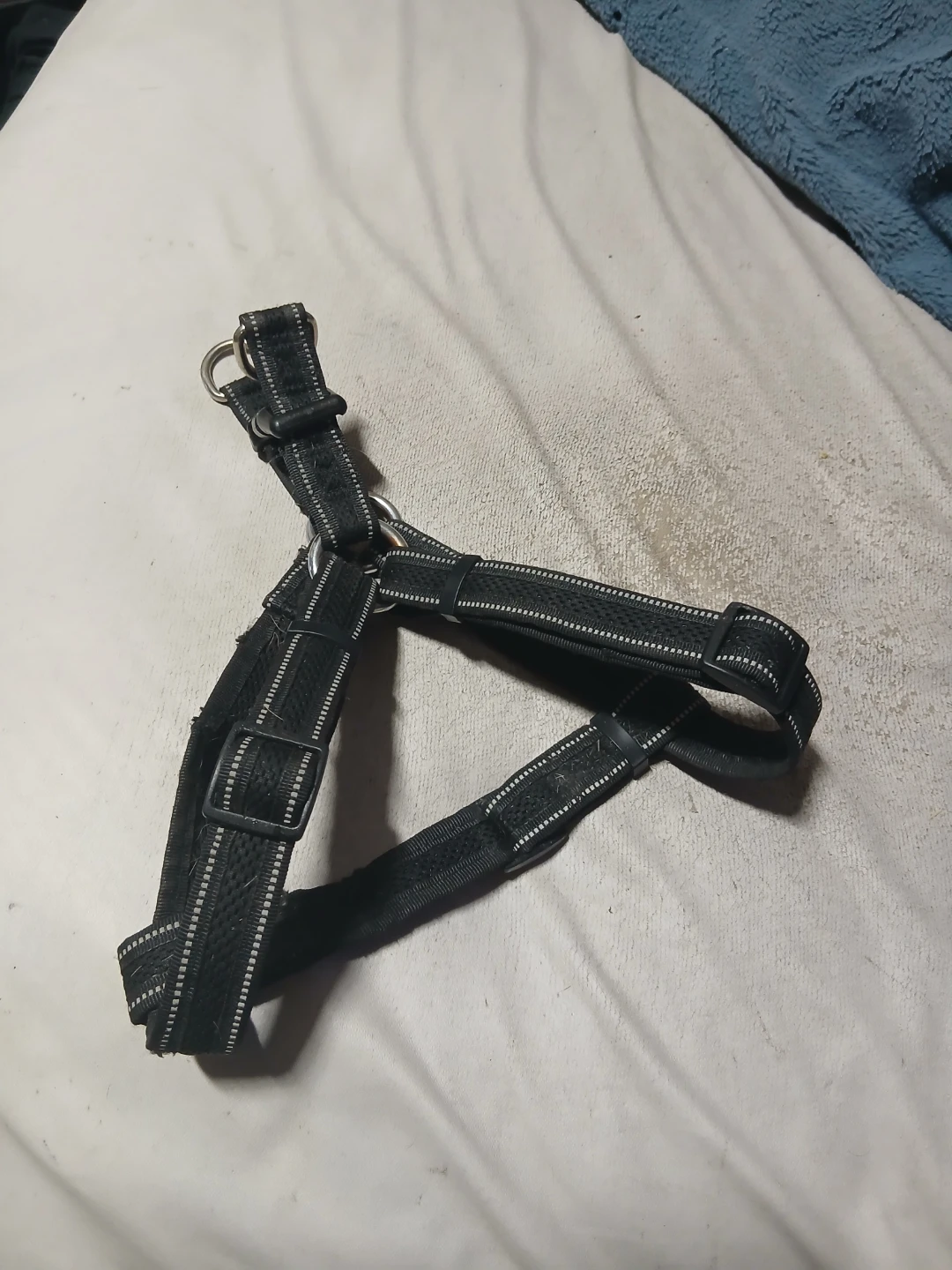 Black Reflective Dog Harness