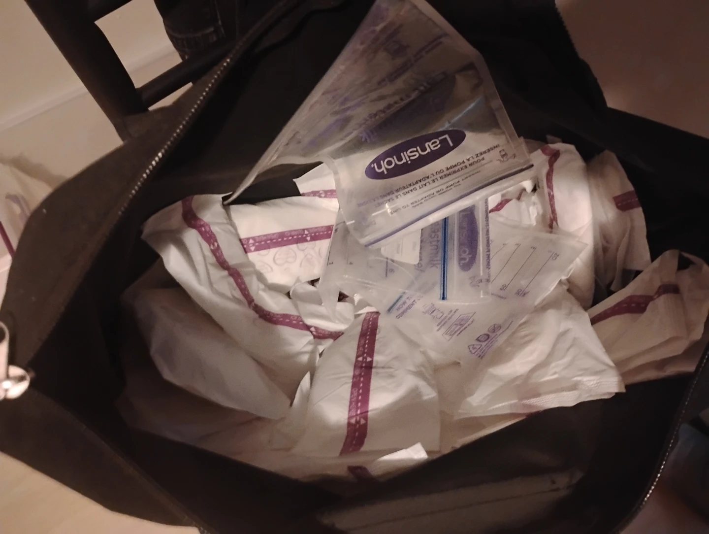 Lansinoh Breast Milk Storage Bags & Pump Parts - photo 2