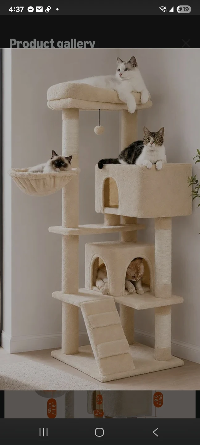 Cat Tree for Large Cats with Large Top Perch New