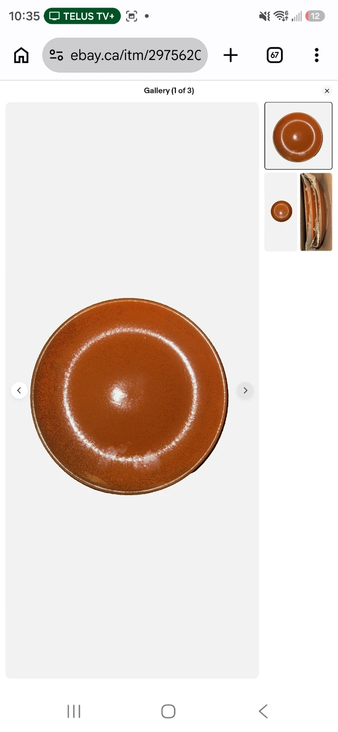Oneida B-18 Brown Speckled Dinner Plates - photo 3