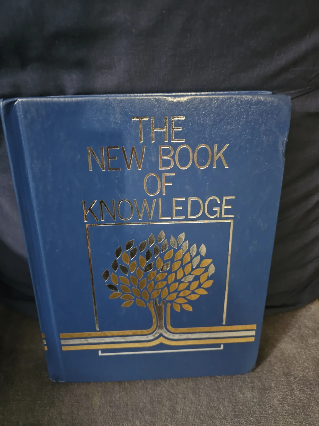 The New Book of Knowledge Volume 1 A