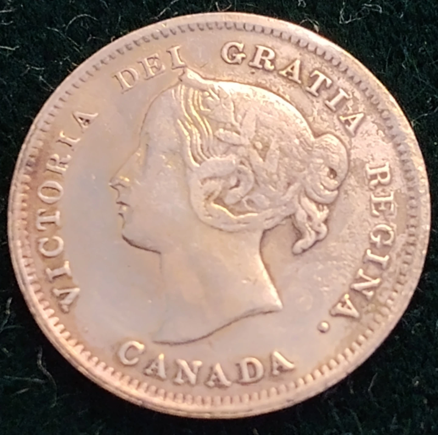 1899 Canadian 5 Cents Coin - photo 5