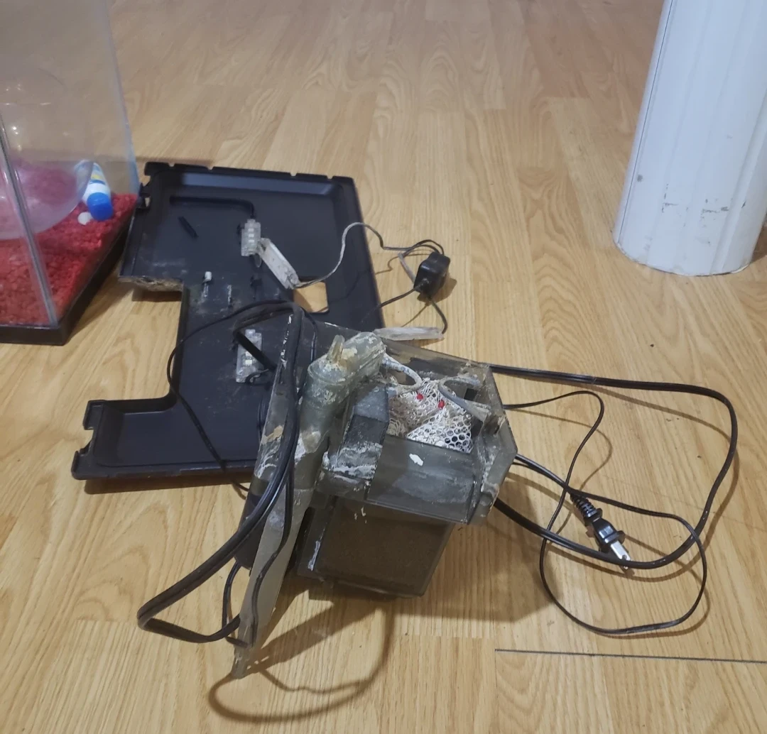 Glass Fish Aquarium with Filter and Accessories - photo 2