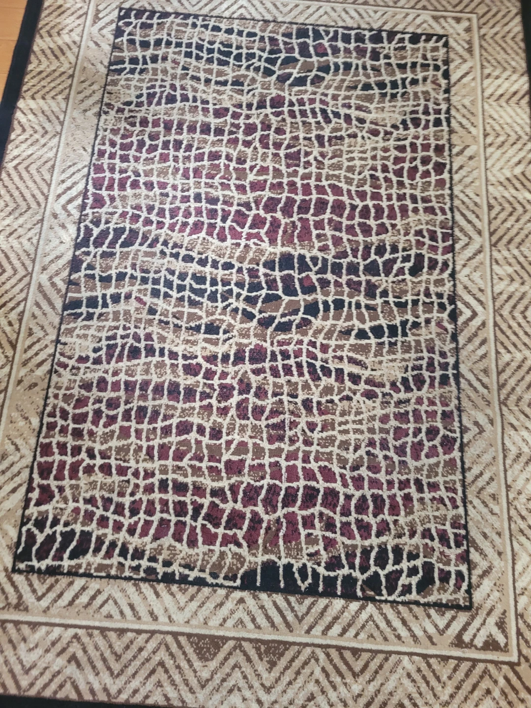 Bellisimo Taniera Area Rug - photo 2