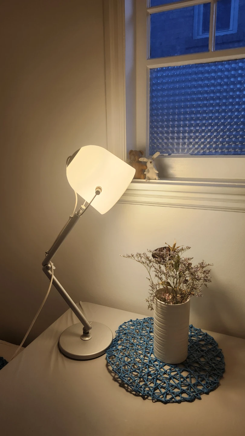 IKEA Desk Lamp