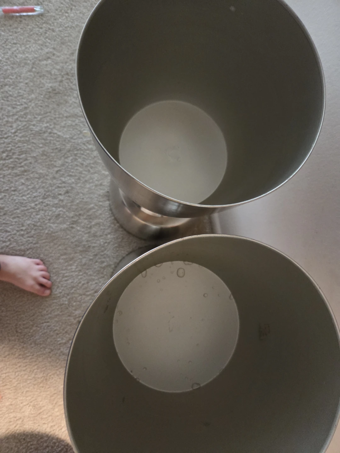 Set of Two Brushed Metal Floor Planters - photo 2