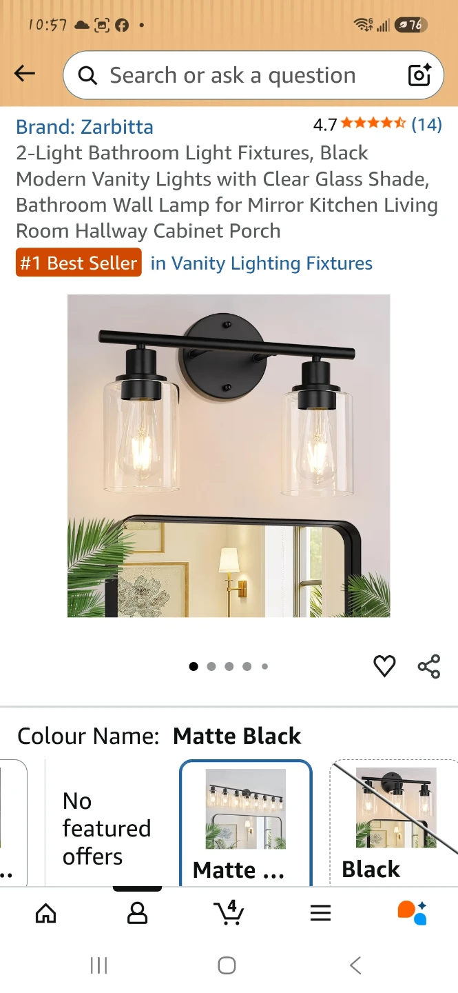 2-Light Matte Black Vanity Light Fixture