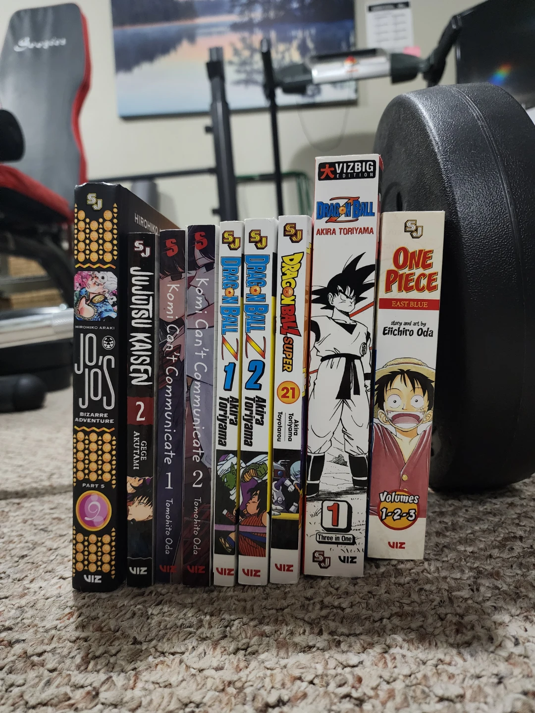 Assorted Manga Lot - good condition