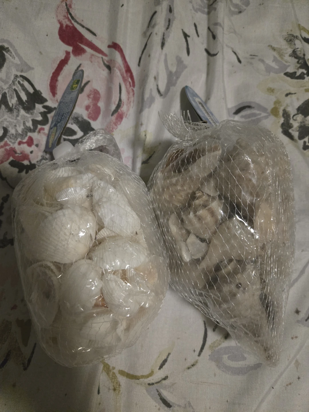 Craft Decorative Seashells Bags