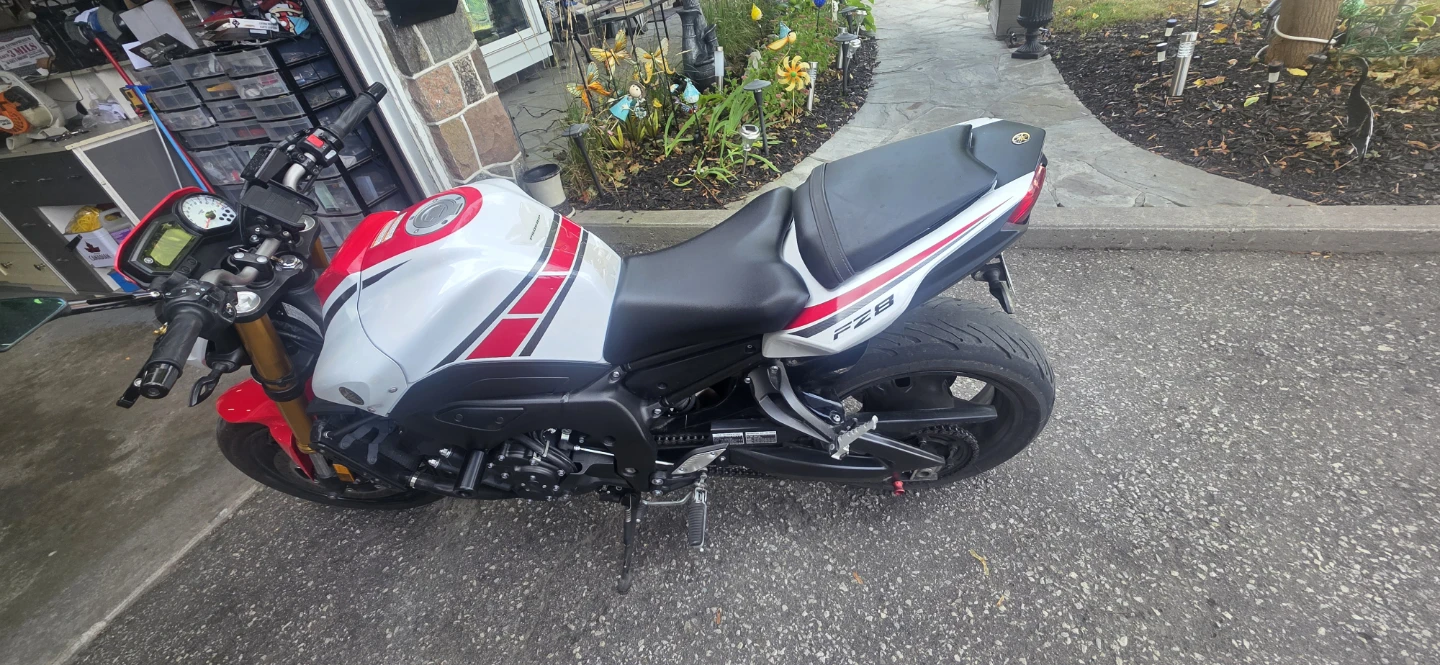Yamaha FZ8 50th Anniversary Edition - photo 3