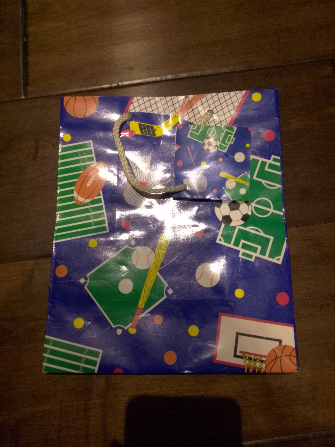 Sports Themed Gift-bag 🏈