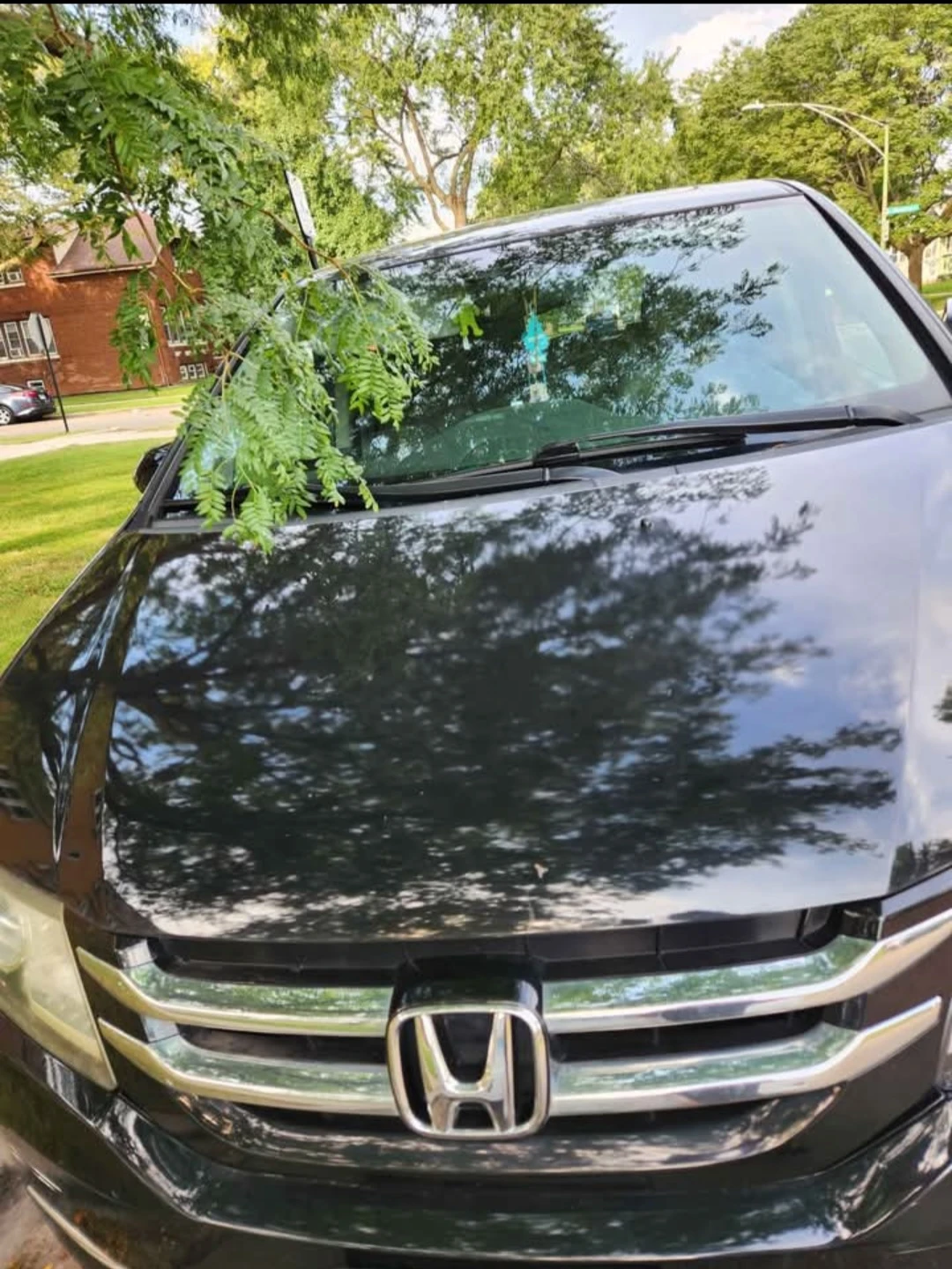 Honda Odyssey Minivan - photo 2