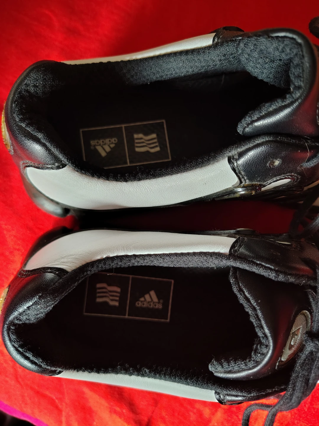 Golf Shoes - White and Black Adidas - photo 5