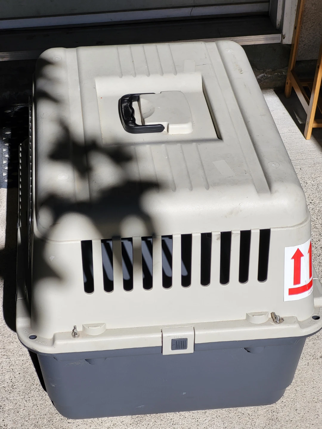 Medium Pet Travel Carrier with Safety Cargo Net - photo 2