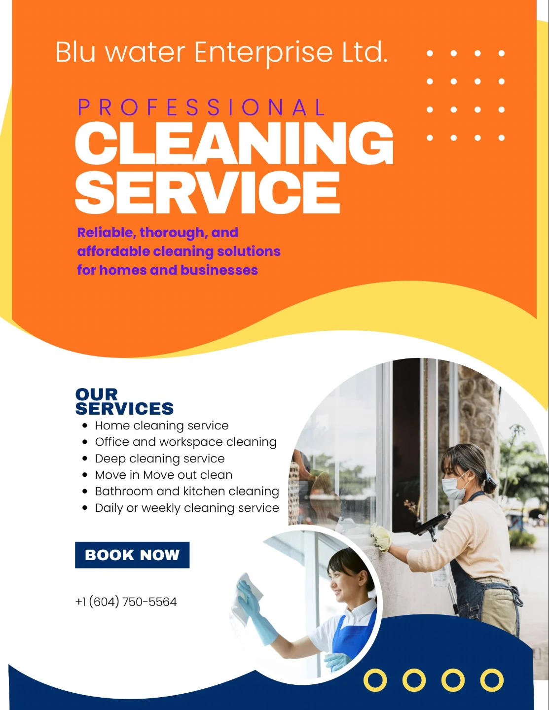 Professional Cleaning Services