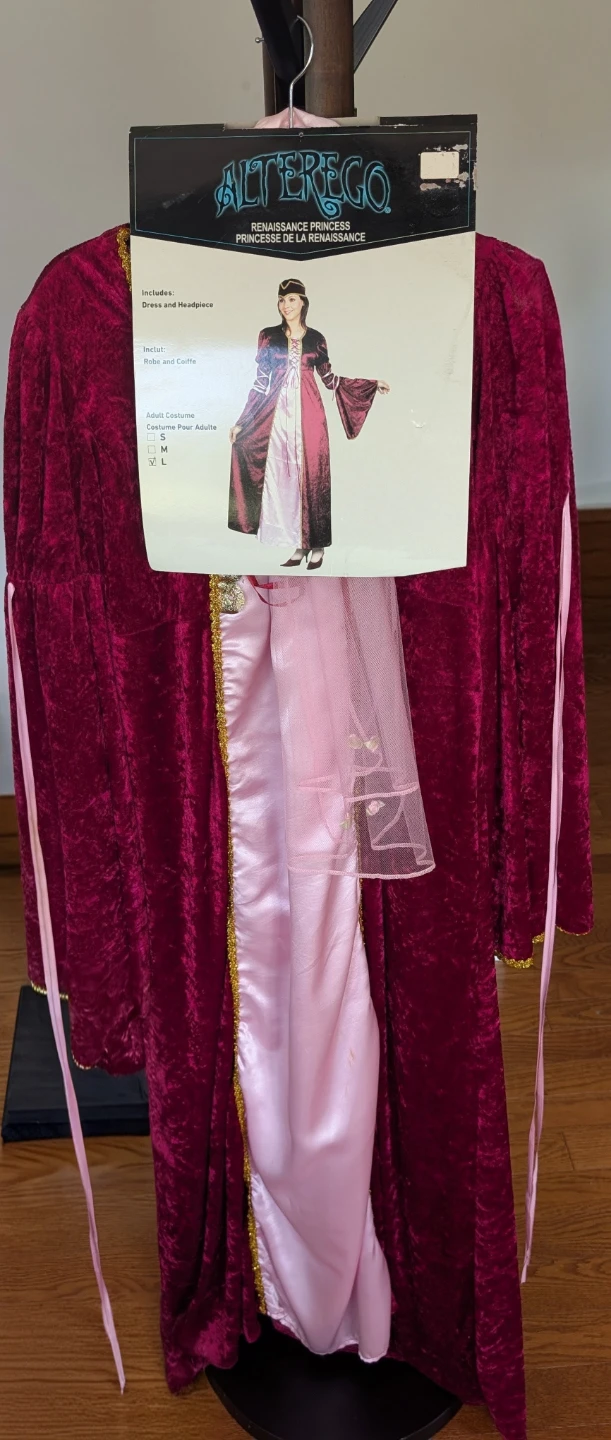 👑 Renaissance Princess Costume