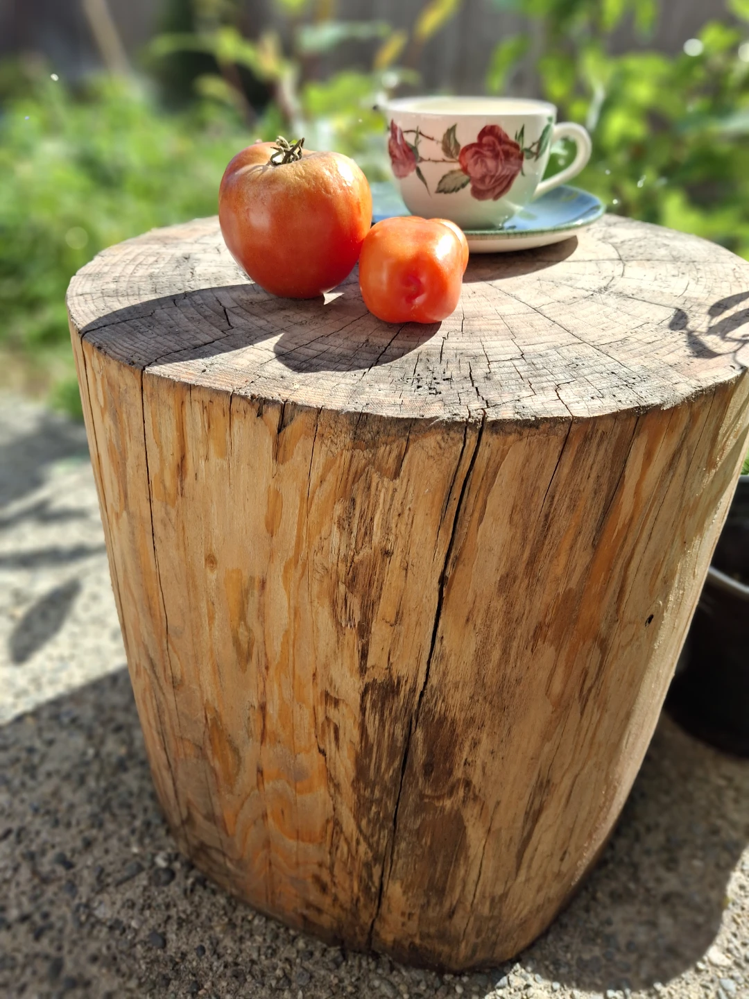 Natural Wood Log Side Table