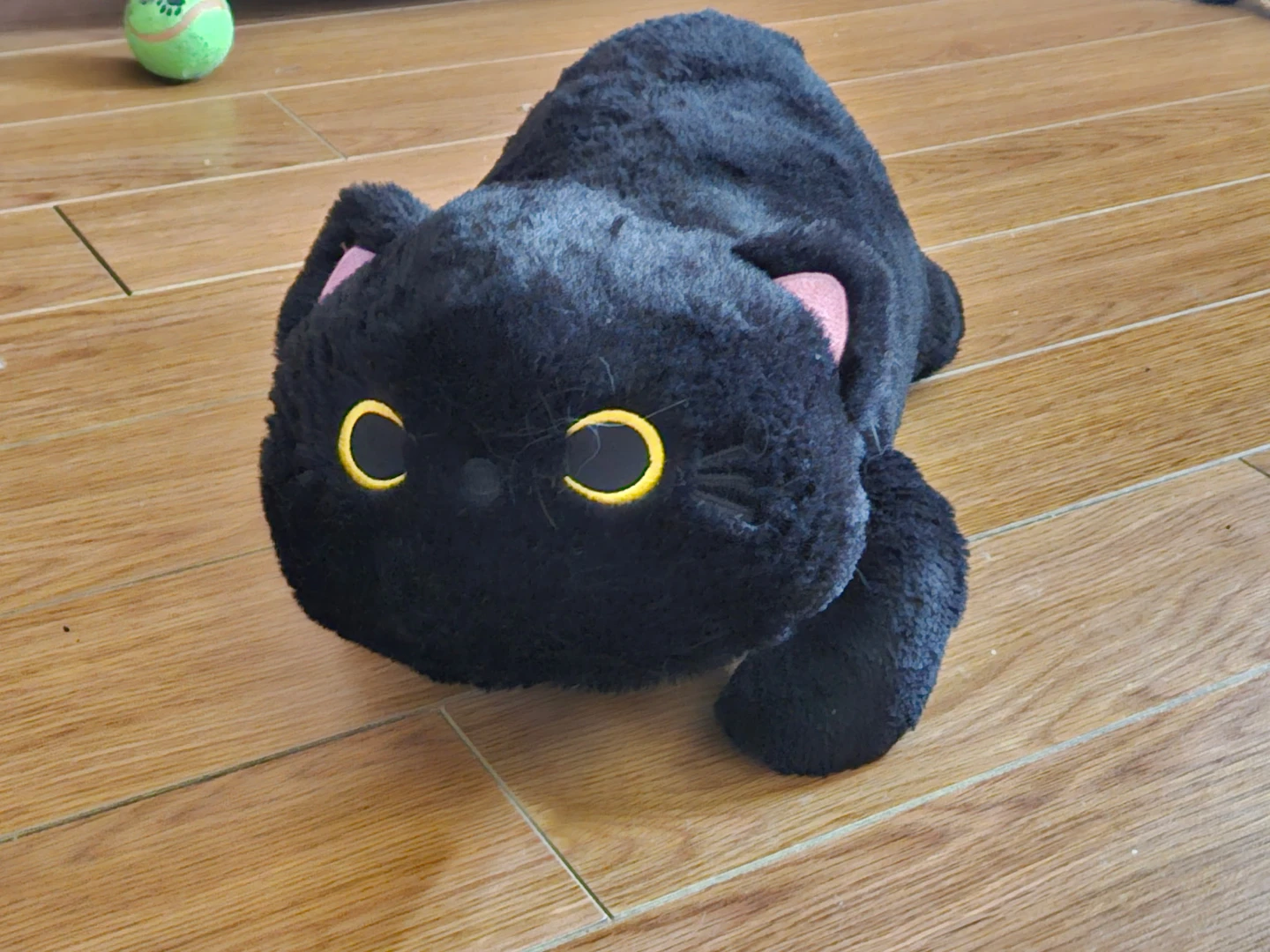 Black Cat Weighted Plush Toy