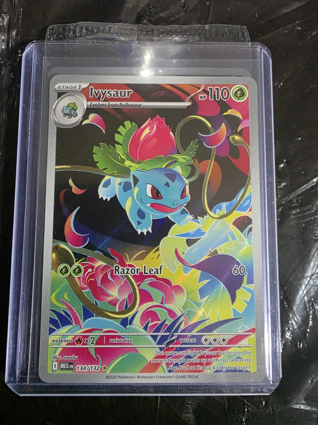 Pokemon TCG Ivysaur & Bulbasaur Cards - photo 2