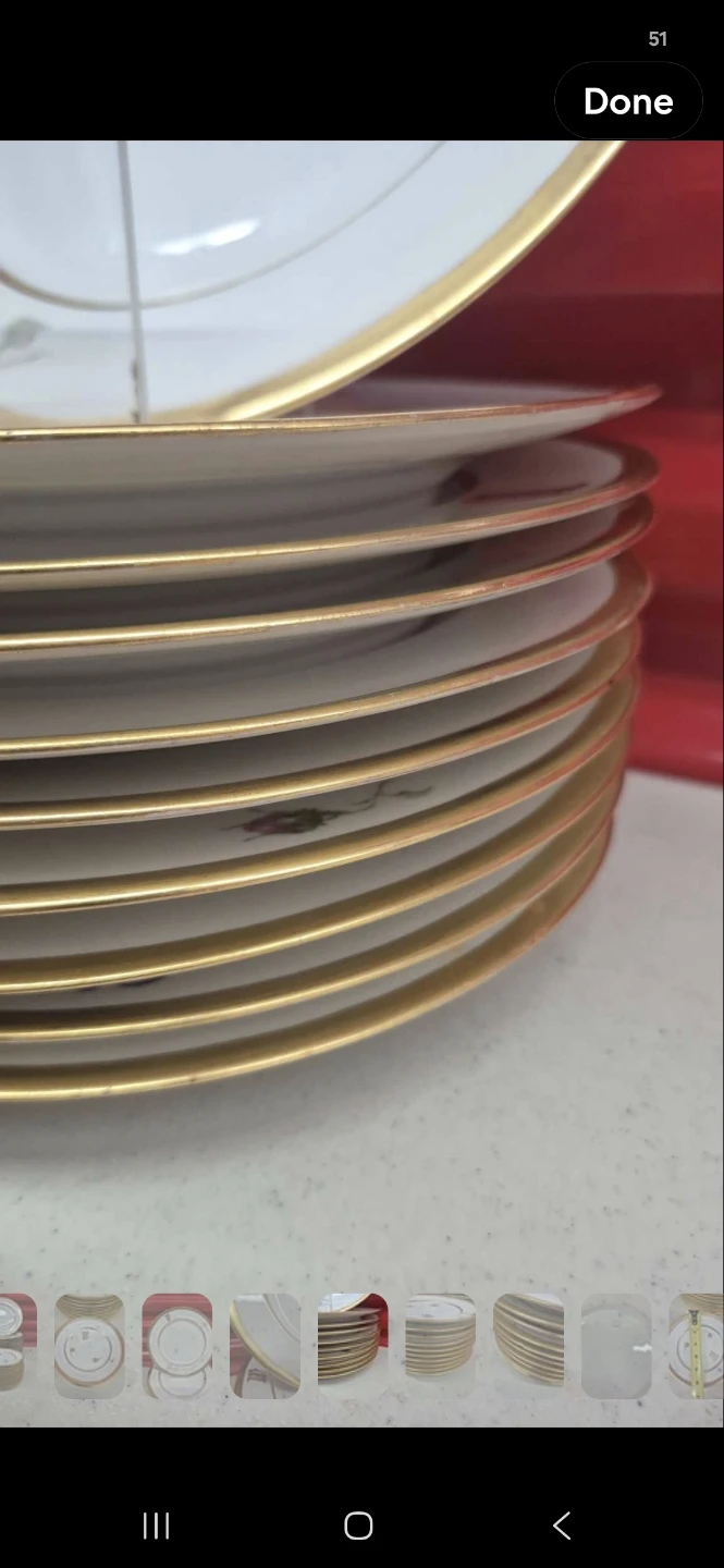 Set of 20 Vintage Limoges Floral Porcelain Plates - photo 5