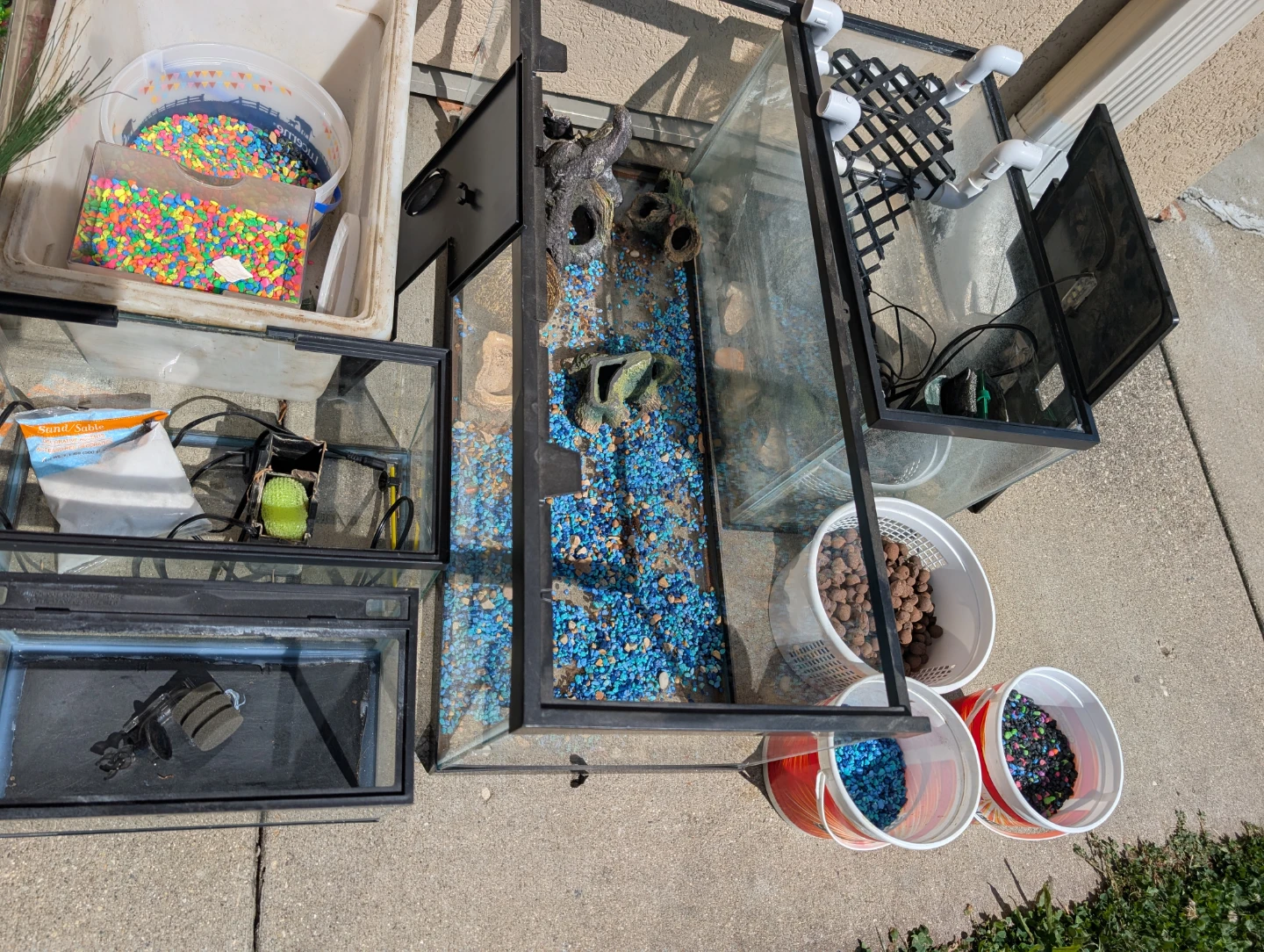 Aquariums Terrariums and Reptile Supplies - photo 4