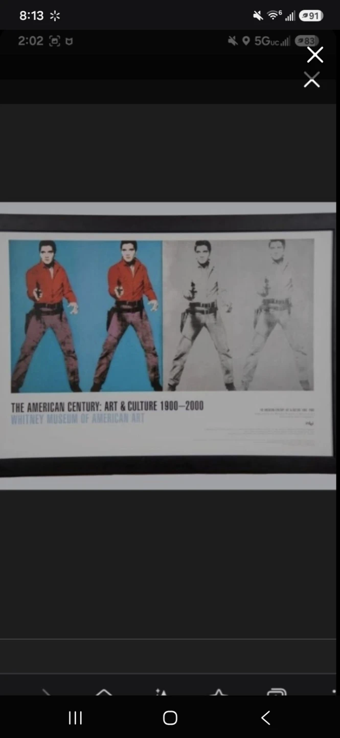 LABOR DAY SPECIAL: Andy Warhol Framed Elvis Poster
