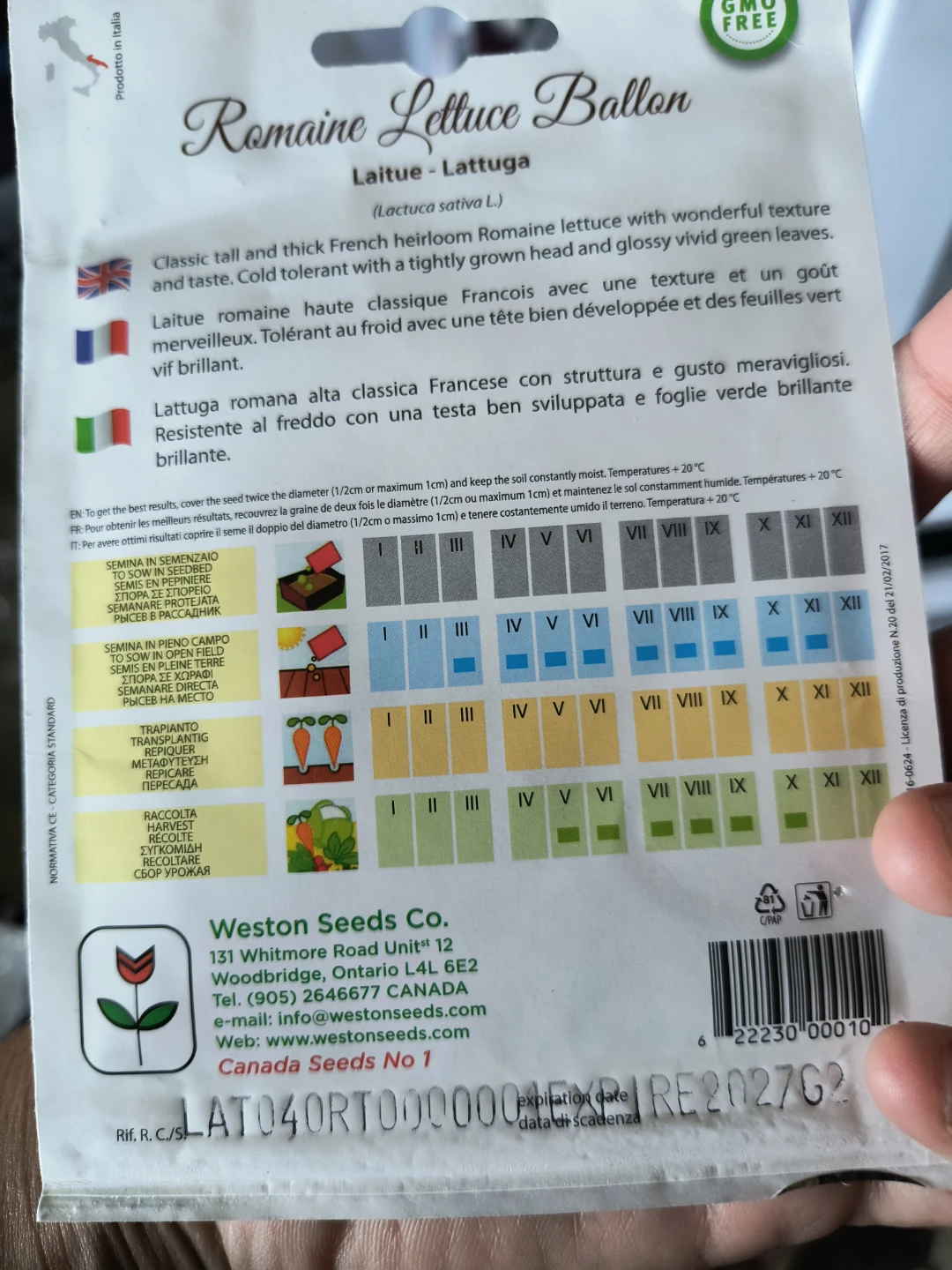 Romaine Lettuce Ballon Seeds - photo 2