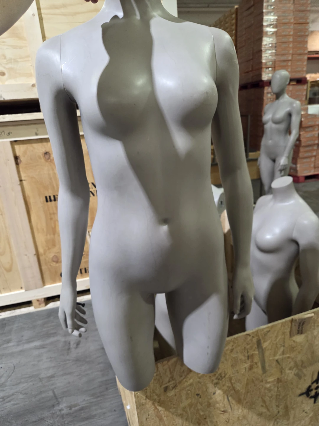 Female Torso Mannequin Display - photo 3