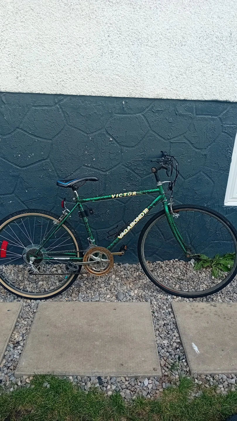 Victor Vagabond bicycle in green