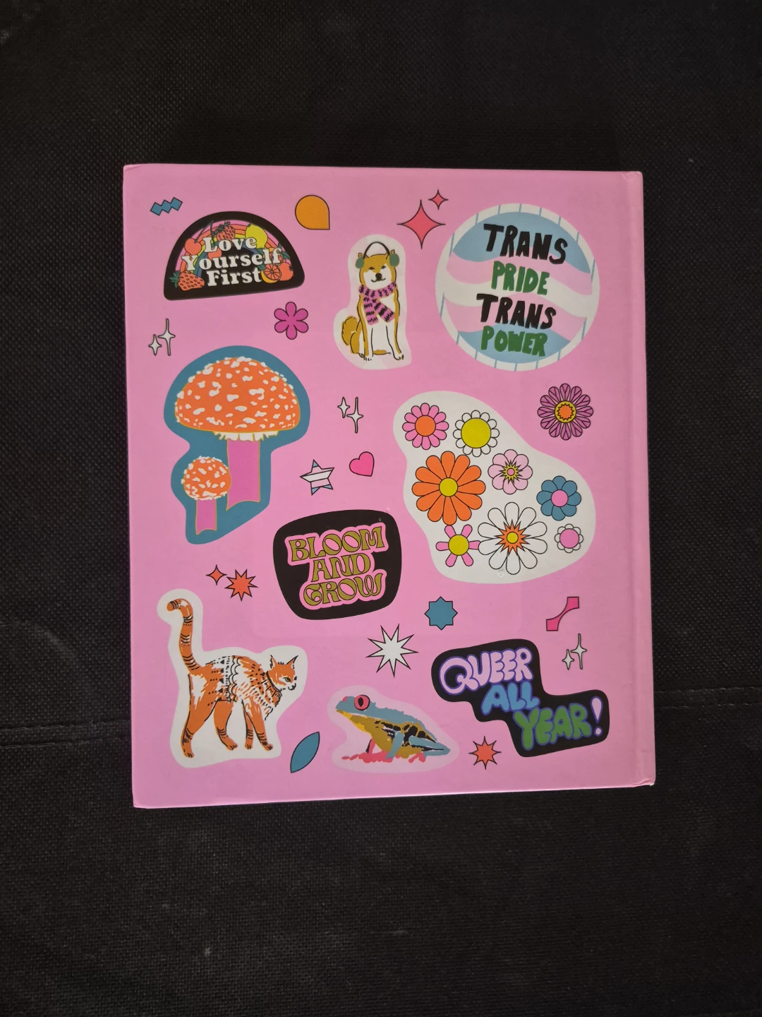 The Big Book of Queer Stickers by Ash + Chess - photo 4
