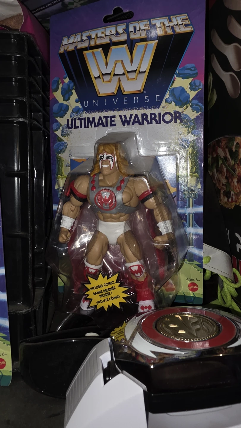 Masters of the Universe WWE Action Figures - photo 3