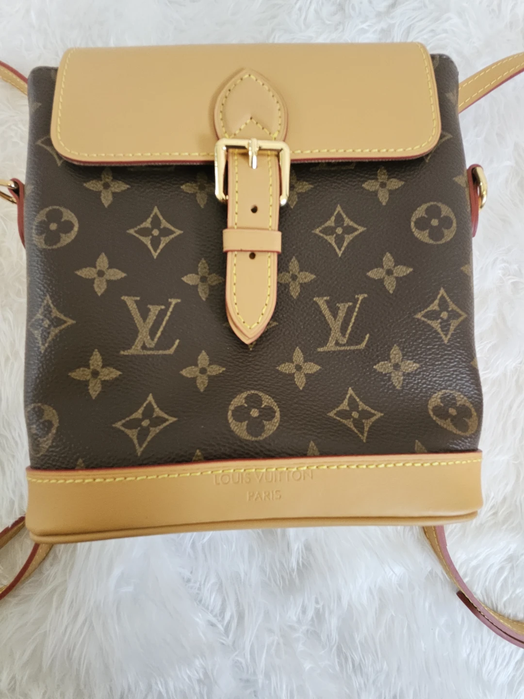 Louis Vuitton Monogram Canvas Bag - photo 3