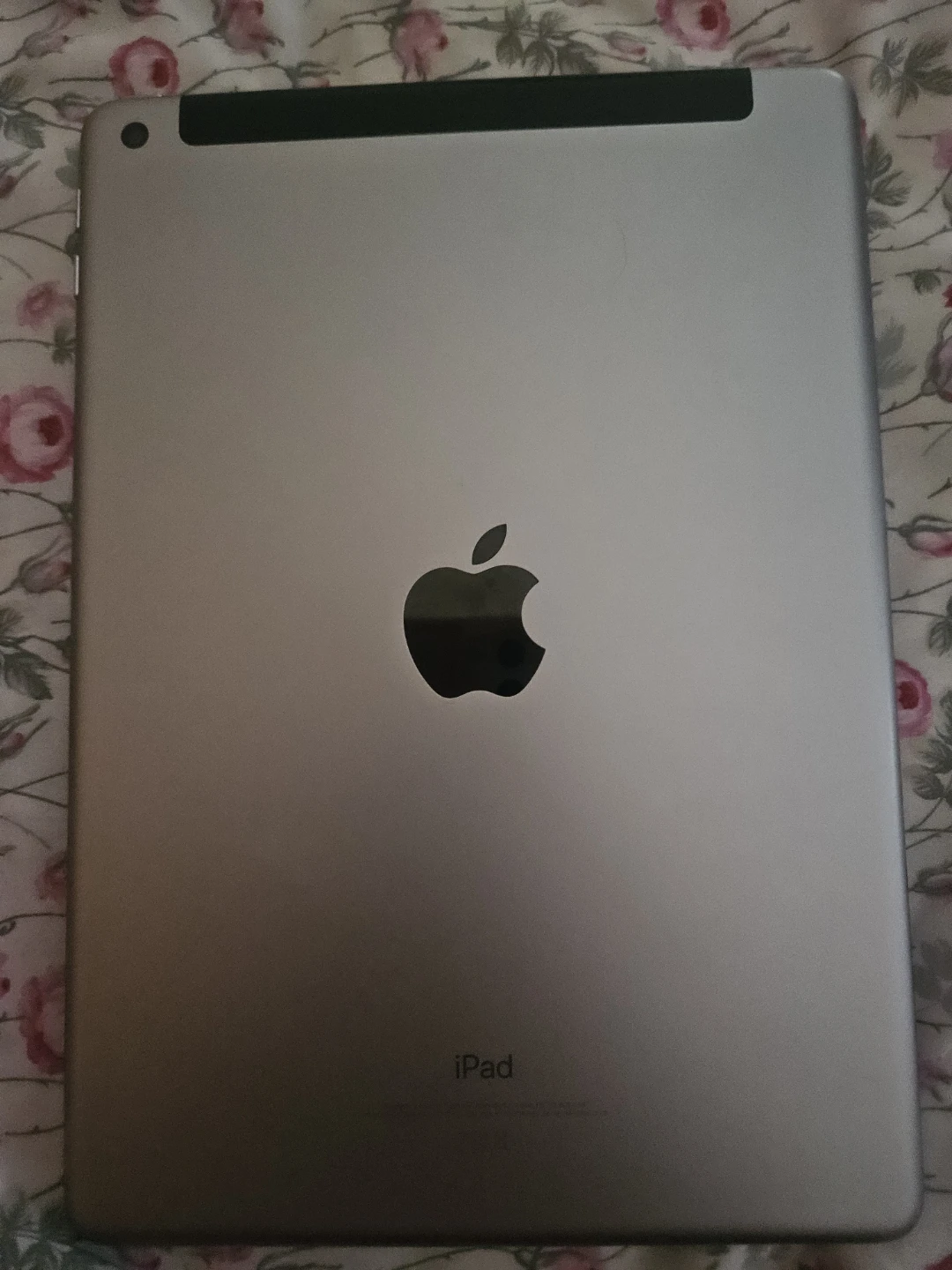 Apple iPad Silver - photo 2