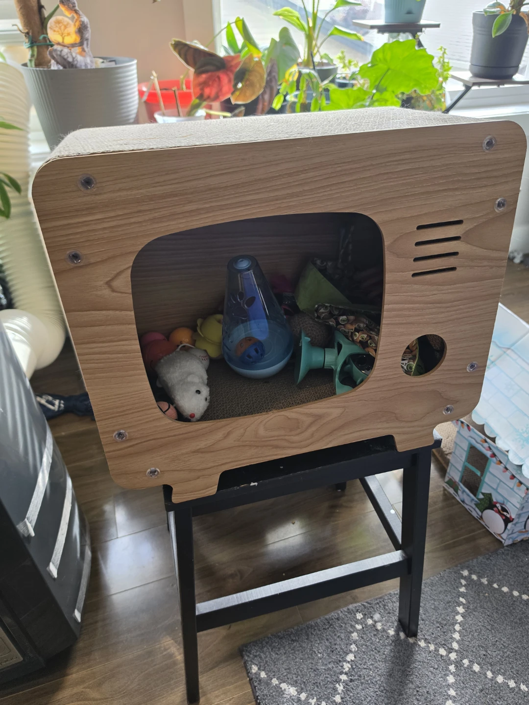 Cat scratch furniture