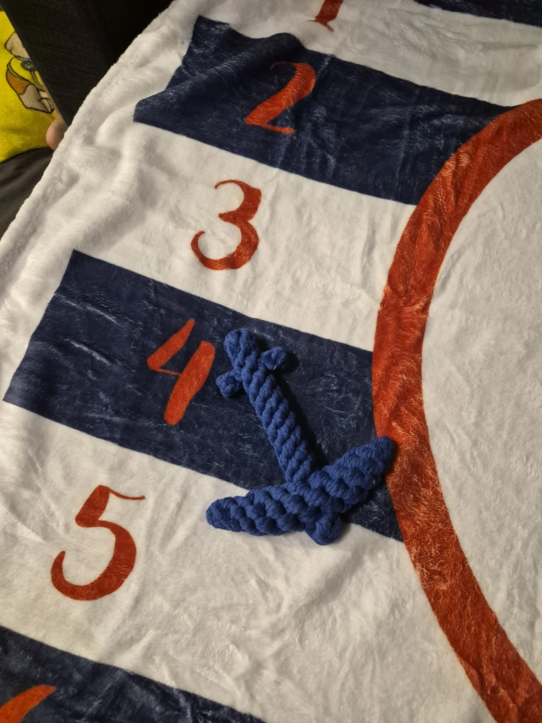 Baby Milestone Blanket with Anchor Marker - photo 5