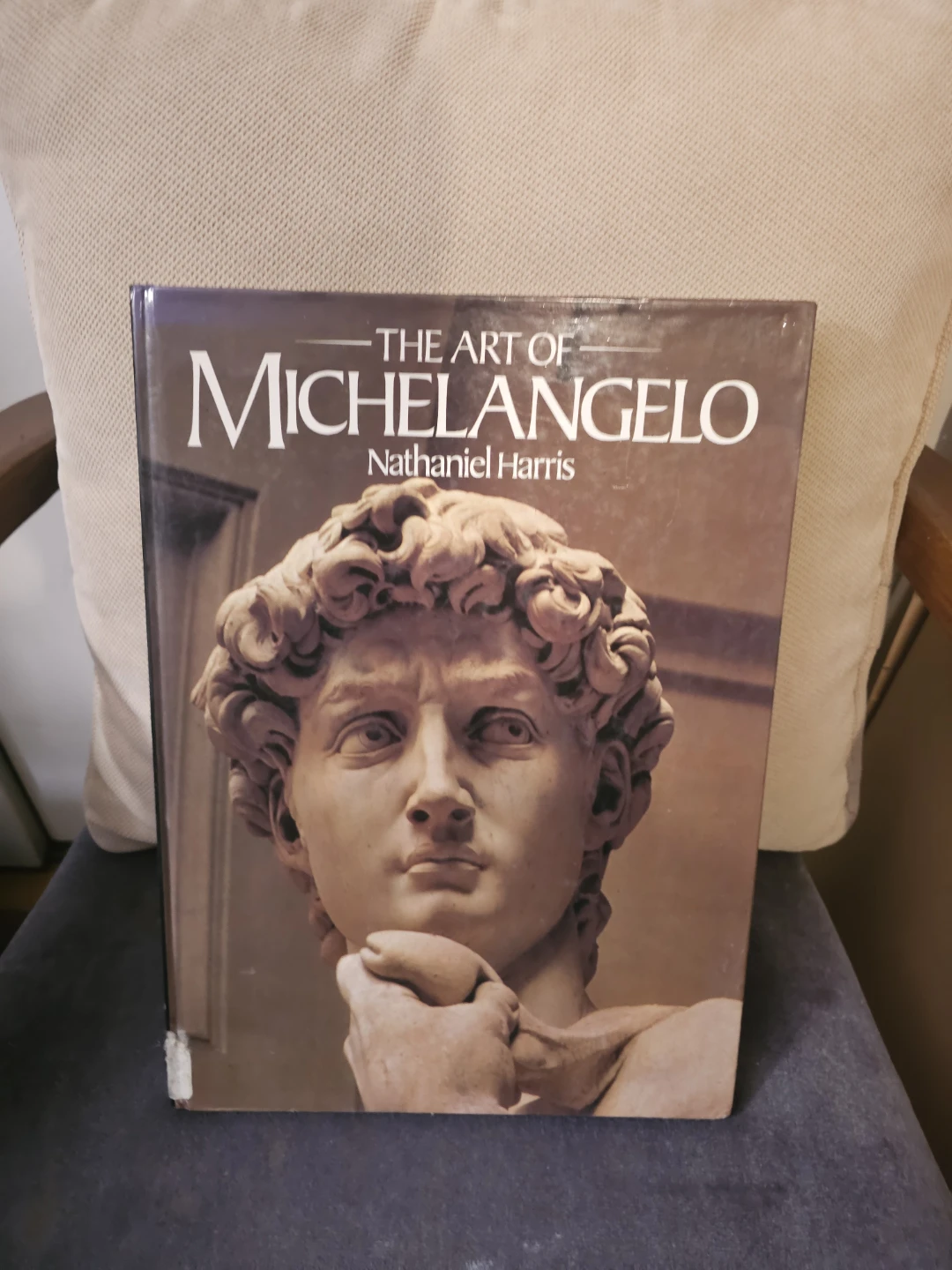 The Art of Michelangelo by Nathaniel Harris