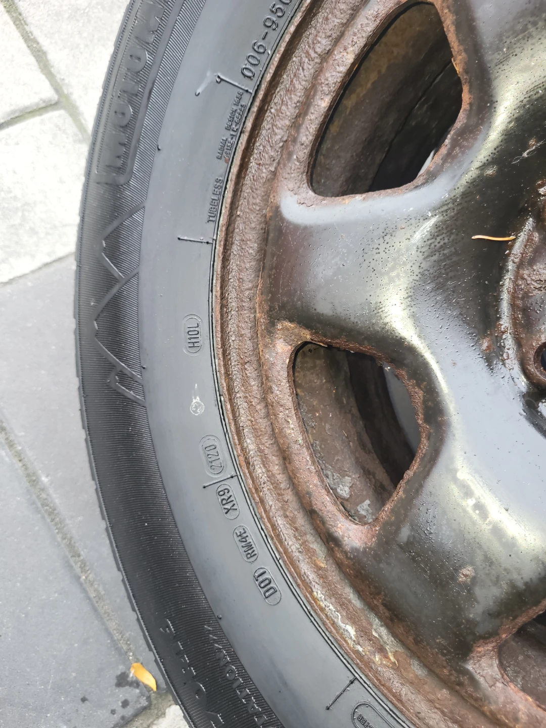 Motomaster Winter Edge Tires on Rims