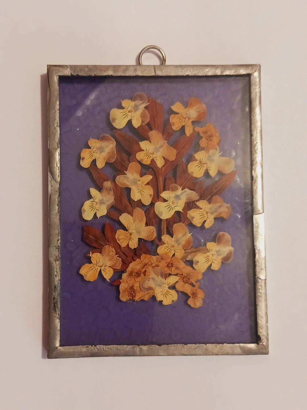 Miniature Pressed Flower Wall Art in Metal Frame - photo 5