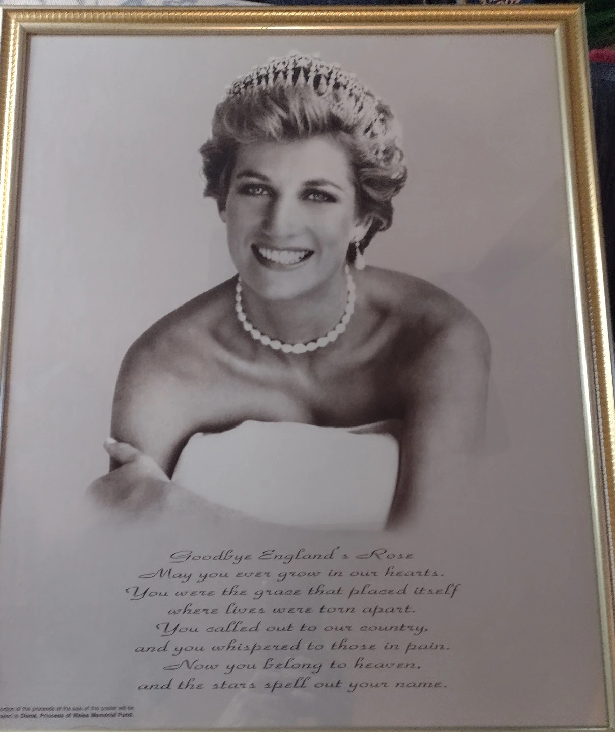 Princess Diana Memorial Poster in Gold Frame