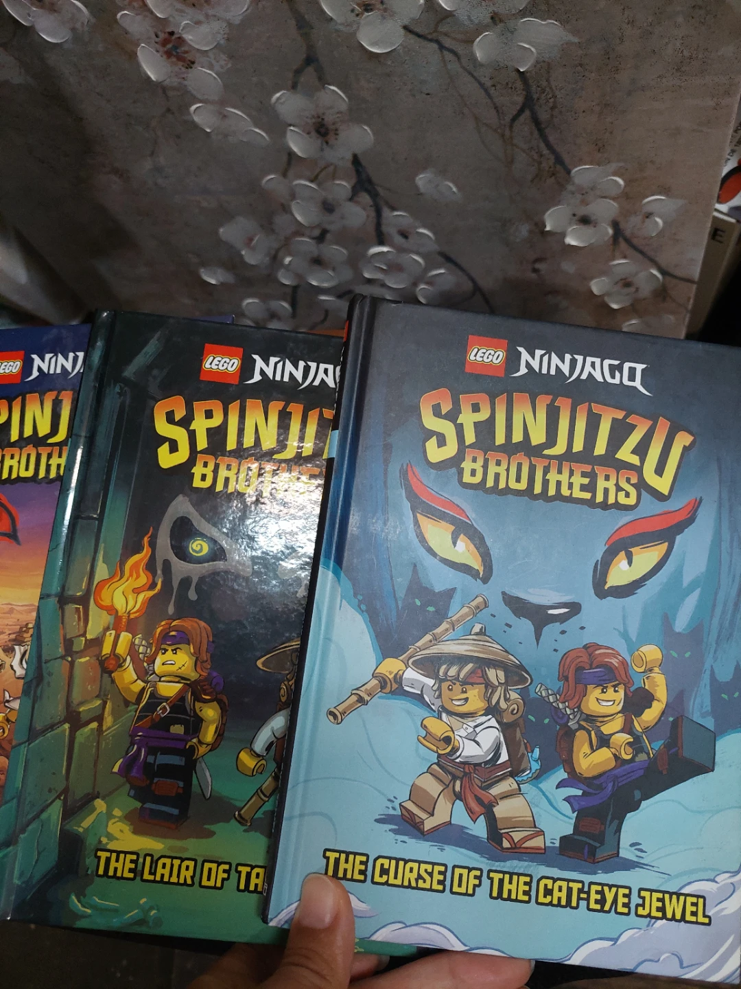 LEGO Ninjago: Spinjitzu Brothers Books (1-4) - photo 3