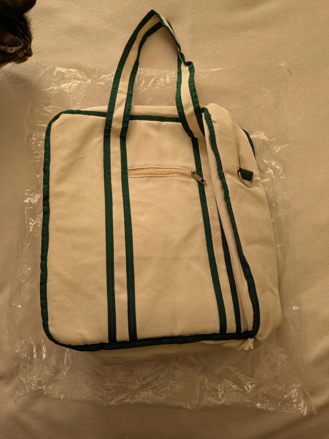 Cream and Green Striped Canvas Tote Racket Bag - photo 3