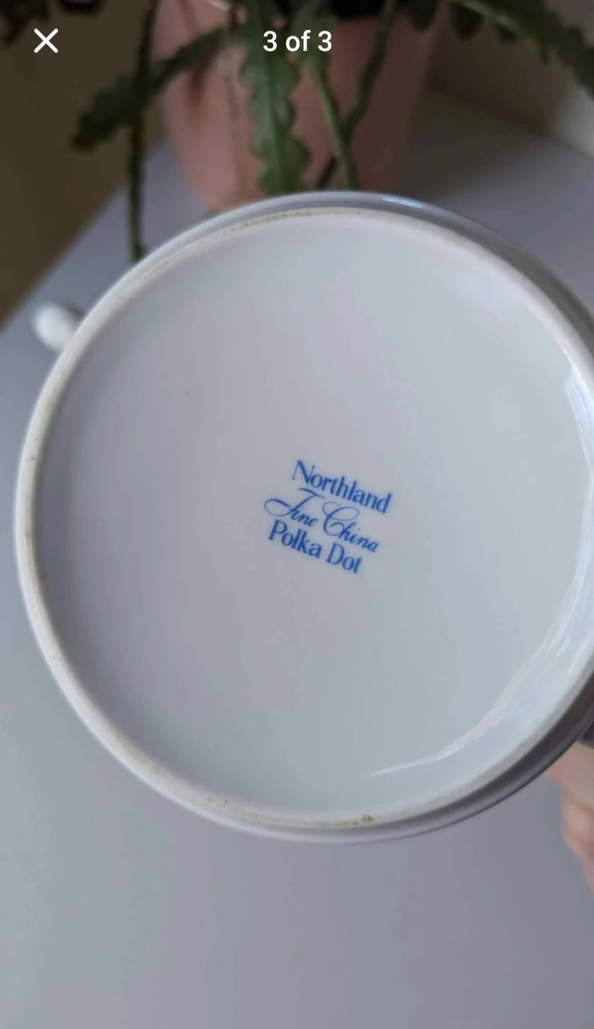Northland Fine China Polka Dot Tea Pot - photo 3